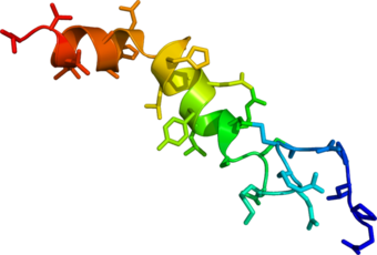 preproorexin_crystallography.png